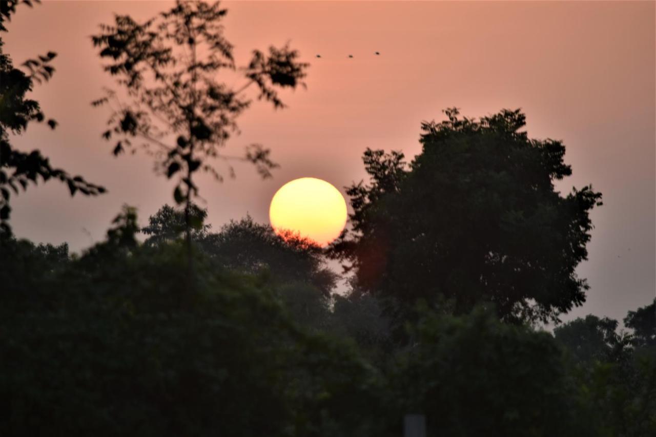 Ranthambhore Bagh Dwar Camp Khilchīpur エクステリア 写真